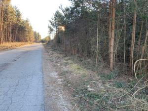 Palčje - Juršče obcestni pas (5)
